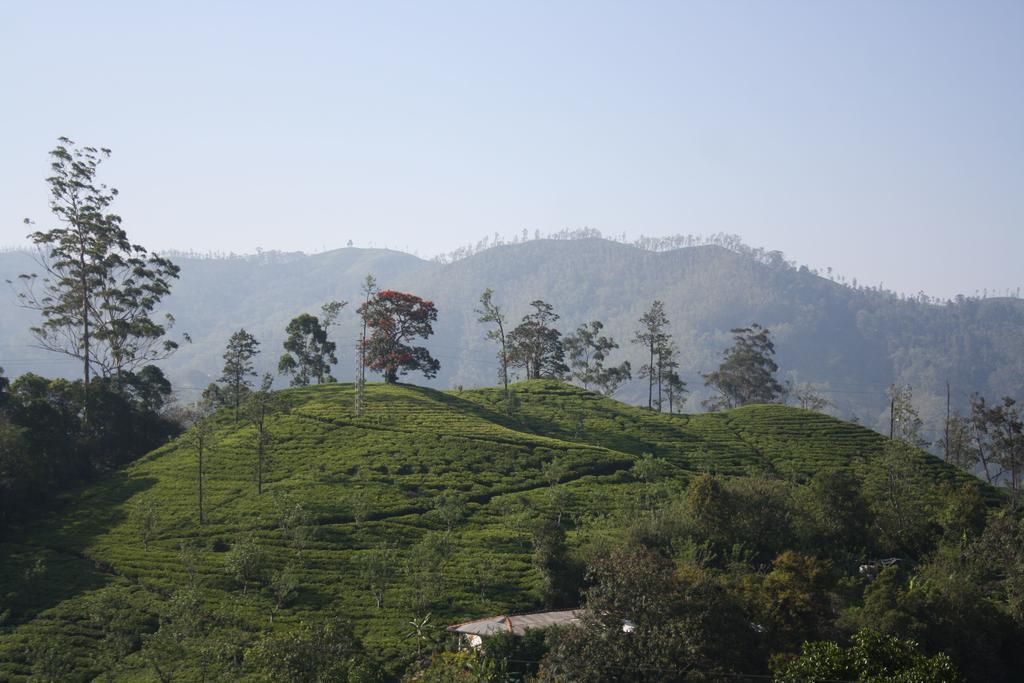 Richard Homestay เอลลา ภายนอก รูปภาพ